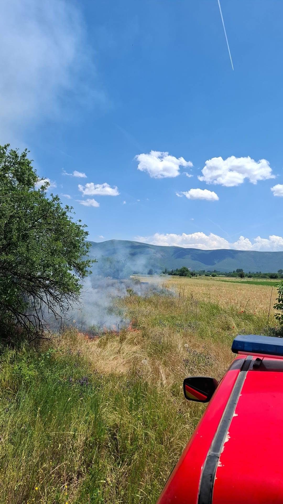 Zjarri në Tearcë vihet nën kontroll, autoritetet apelojnë për kujdes
